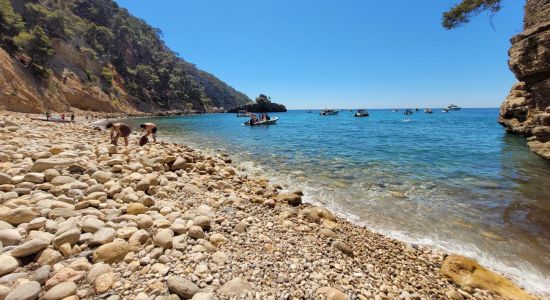 Plage de La Galere