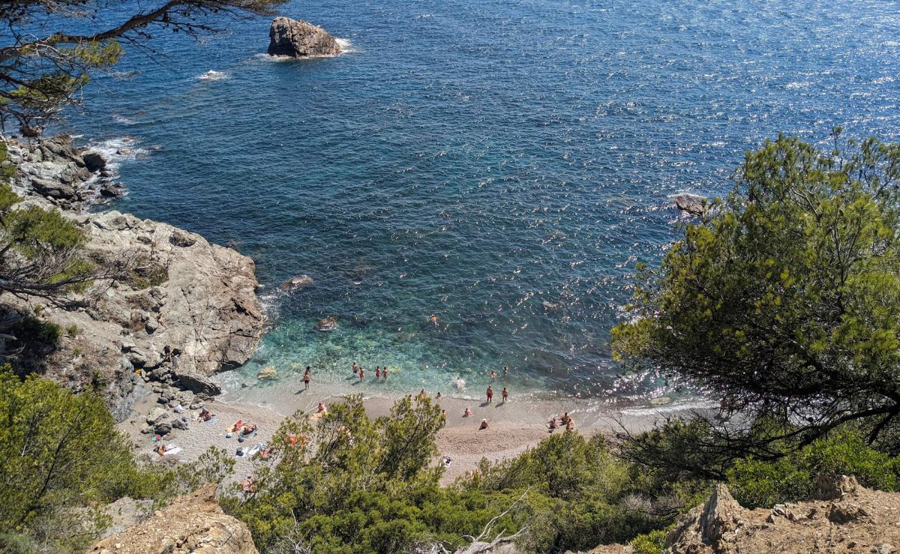 Photo of Plage du Mont Salva with gray fine pebble surface