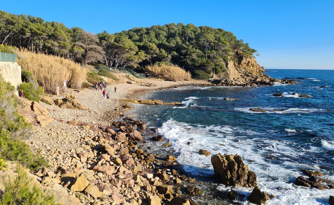 Photo of Plage De Grave with rocks cover surface