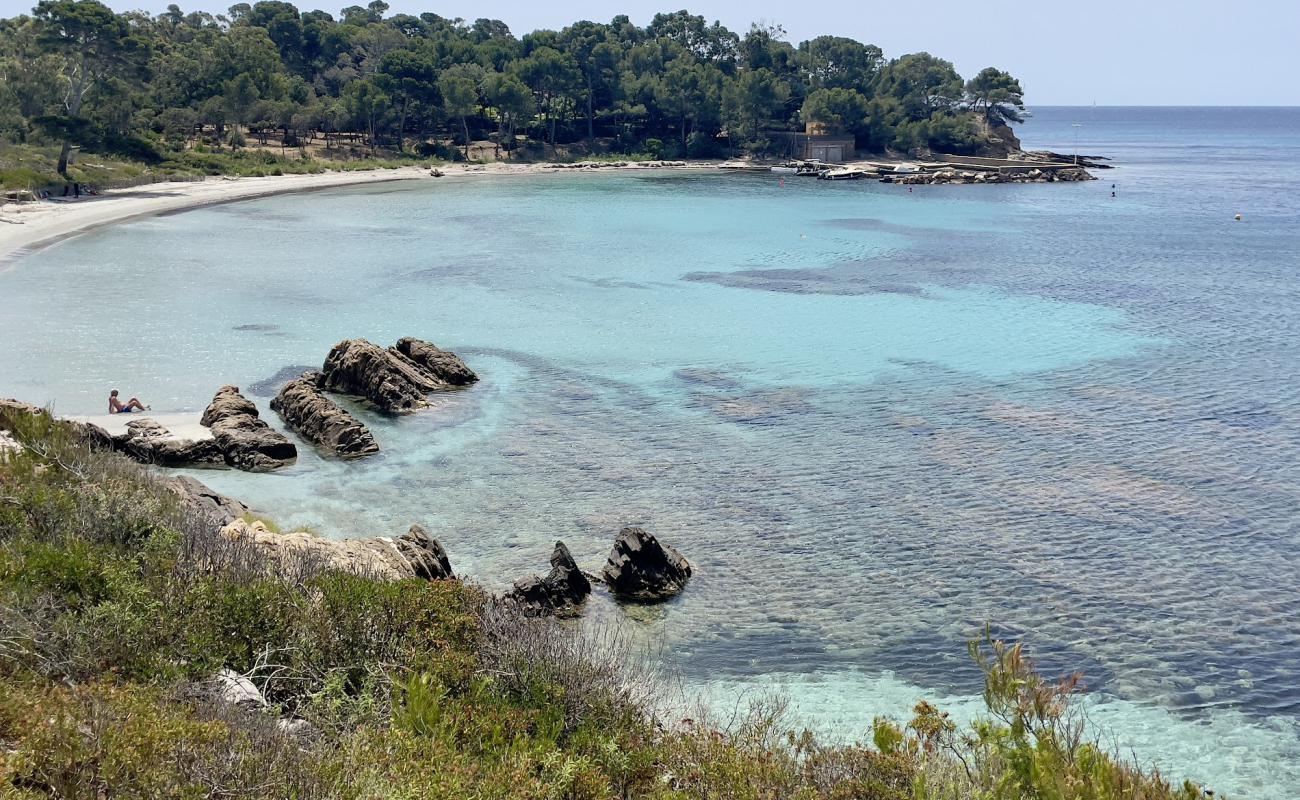 Photo of Plage de la Vignasse with bright sand surface