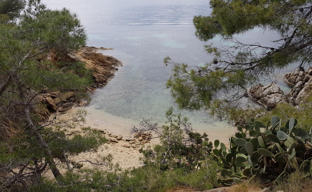 Photo of Plage naturiste du Rossignol with gray sand surface