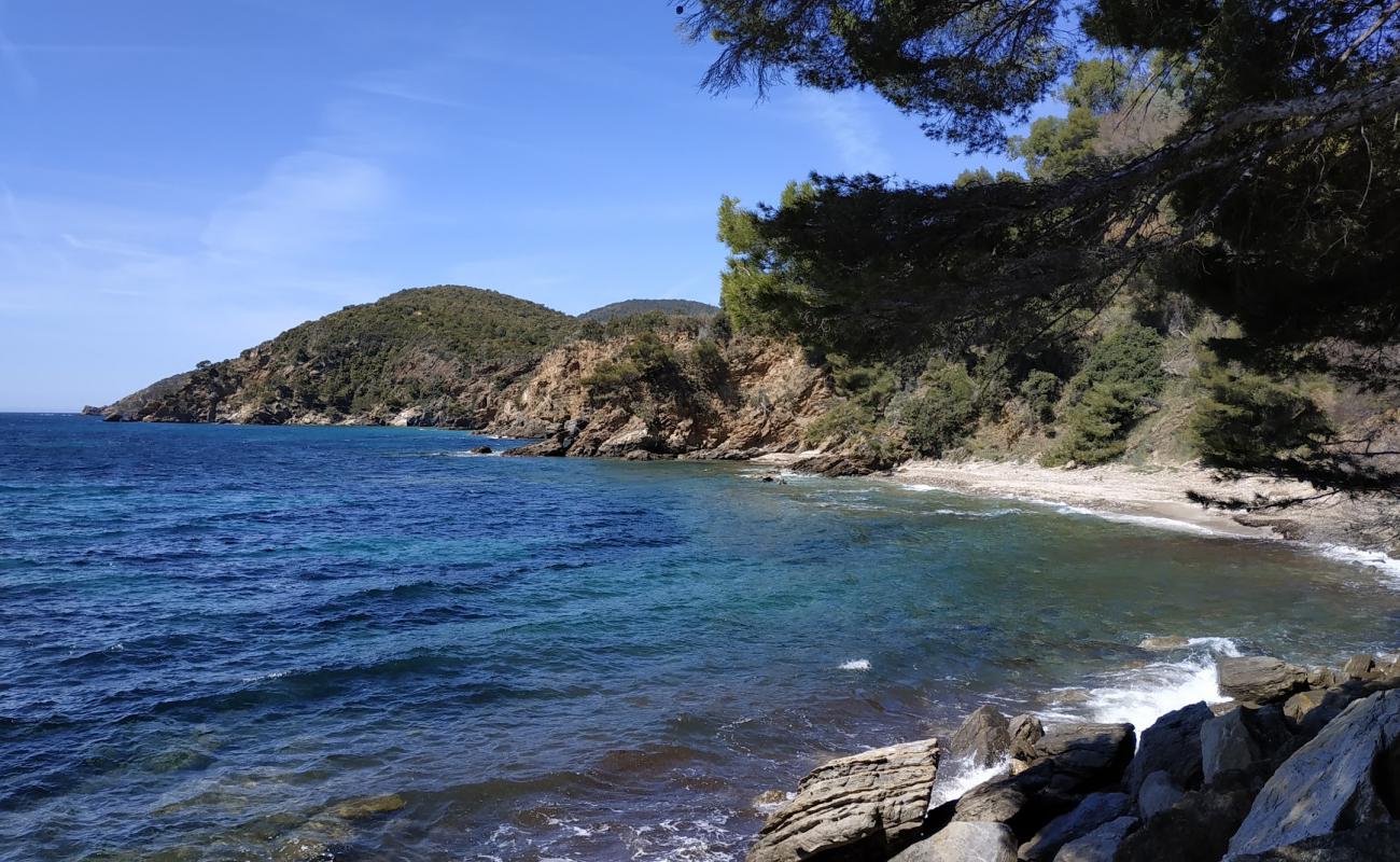 Photo of Plage des Amphores with rocks cover surface