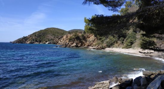 Plage des Amphores