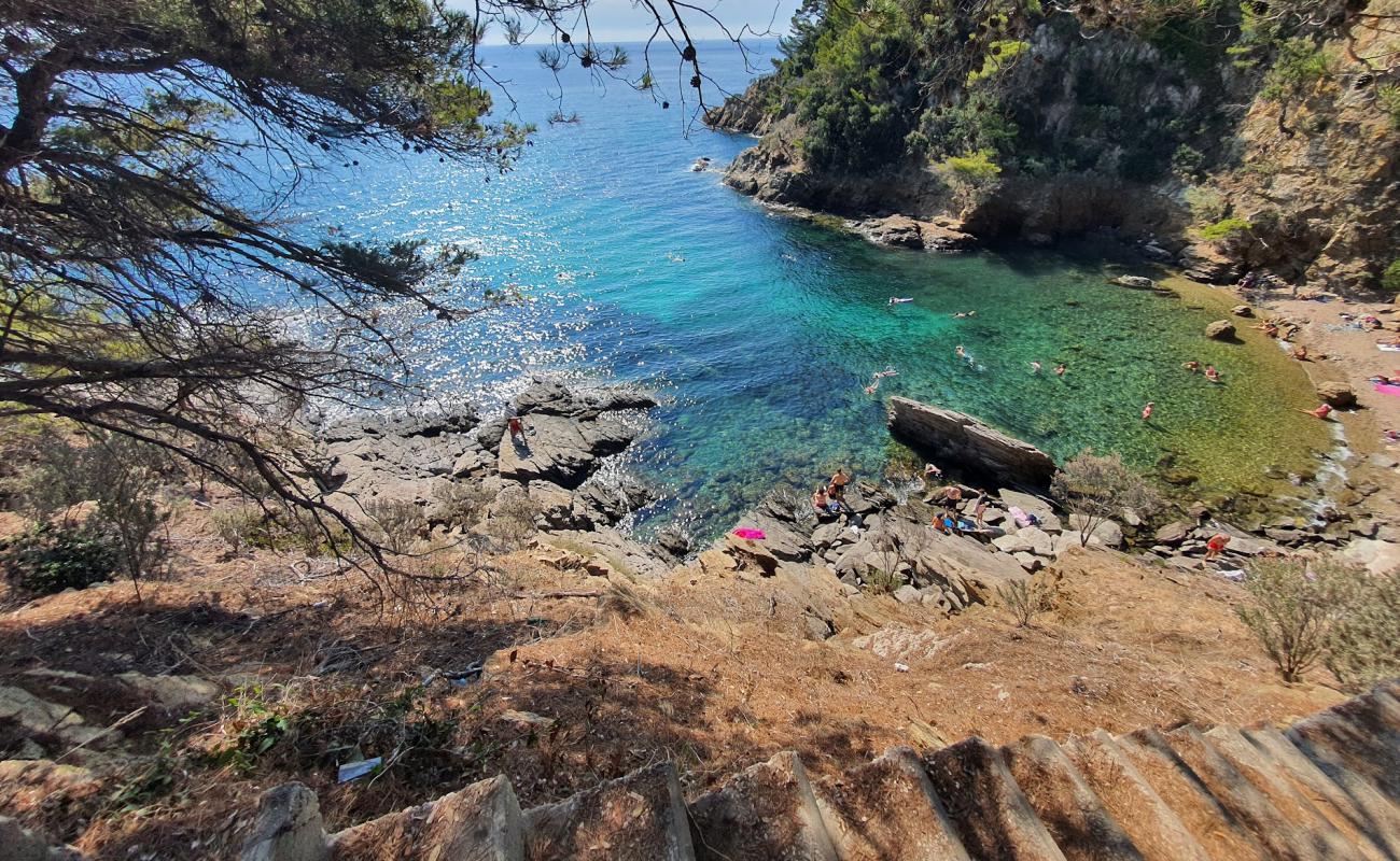 Photo of Calanque Plage with rocks cover surface