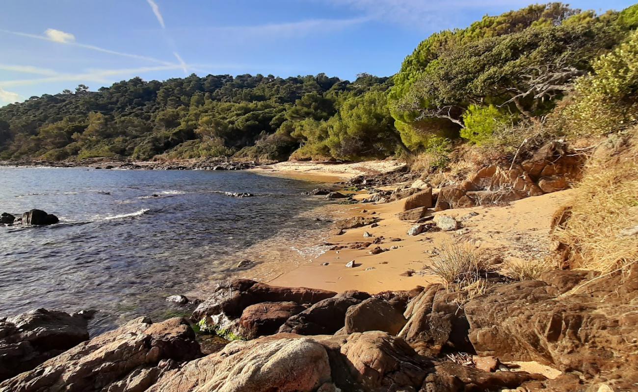 Photo of Plage de la Garrigue with bright sand surface