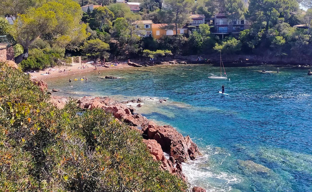 Photo of Calanque de Santa Lucia with rocks cover surface