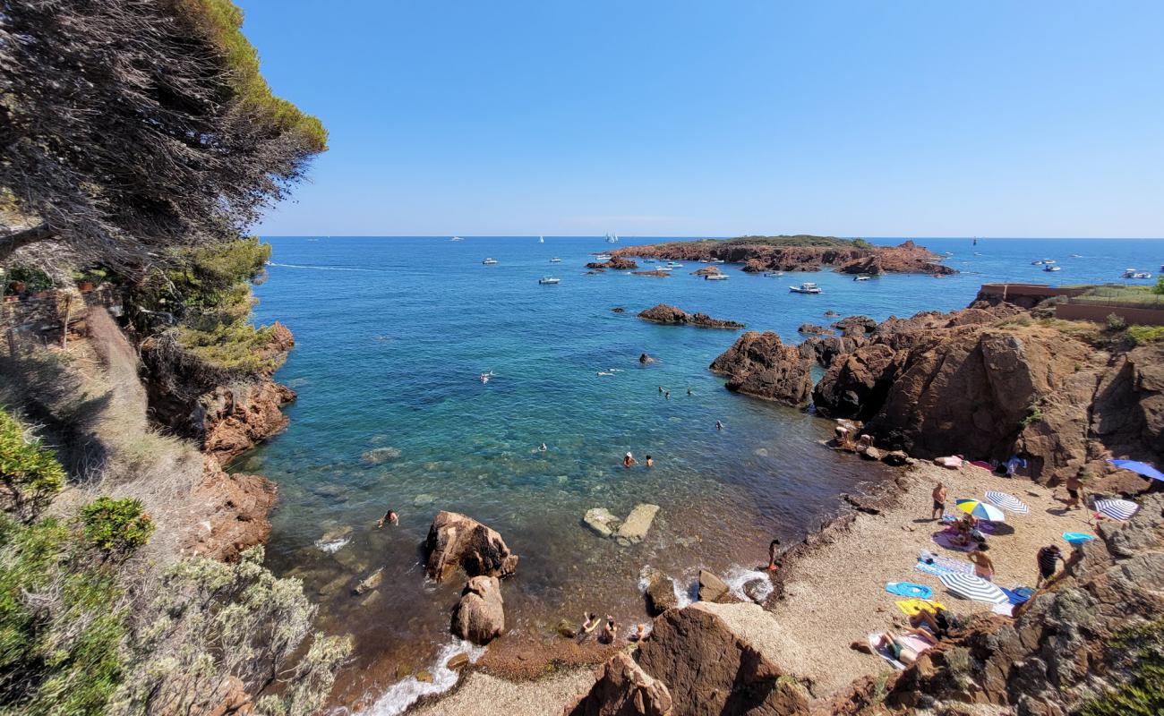 Photo of Plage Les Roches de l'ile des Vieilles with rocks cover surface