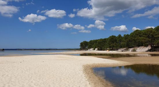 La plage des Aigrettes