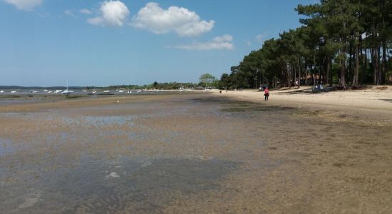 Plage d'Ares