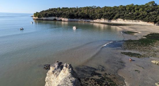 Plage de l'Arneche