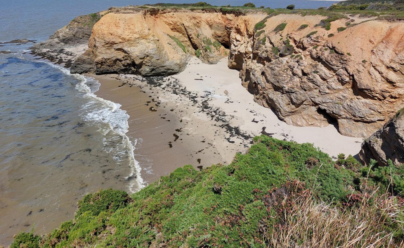 Photo of Plage De La Marche Aux Boeufs with bright sand surface