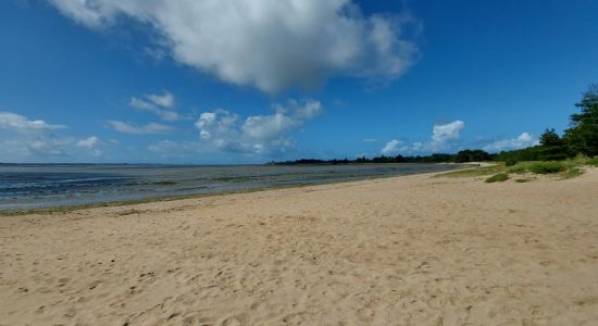 Plage Du Palandrin