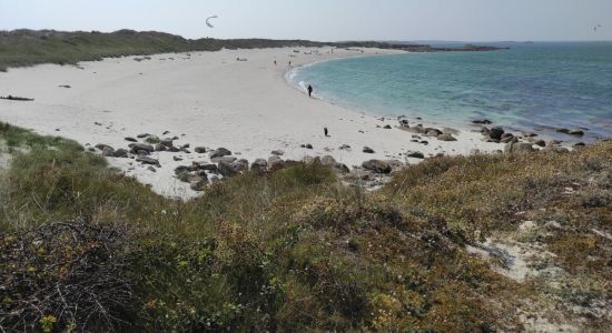 Plage Plougouri