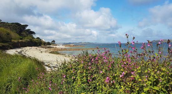 Plage de Port le Goff