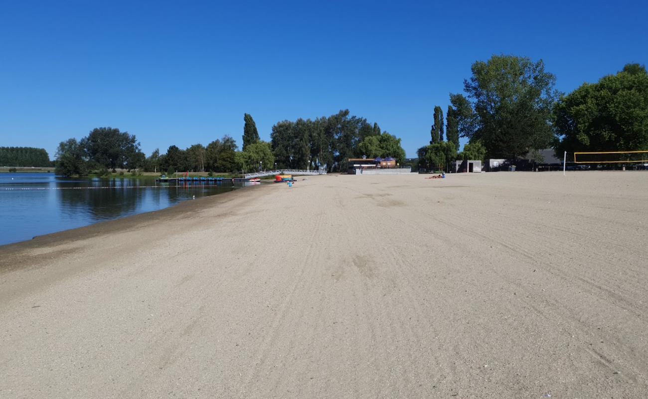 Photo of Plage du lac de Pont-l'Eveque with bright sand surface