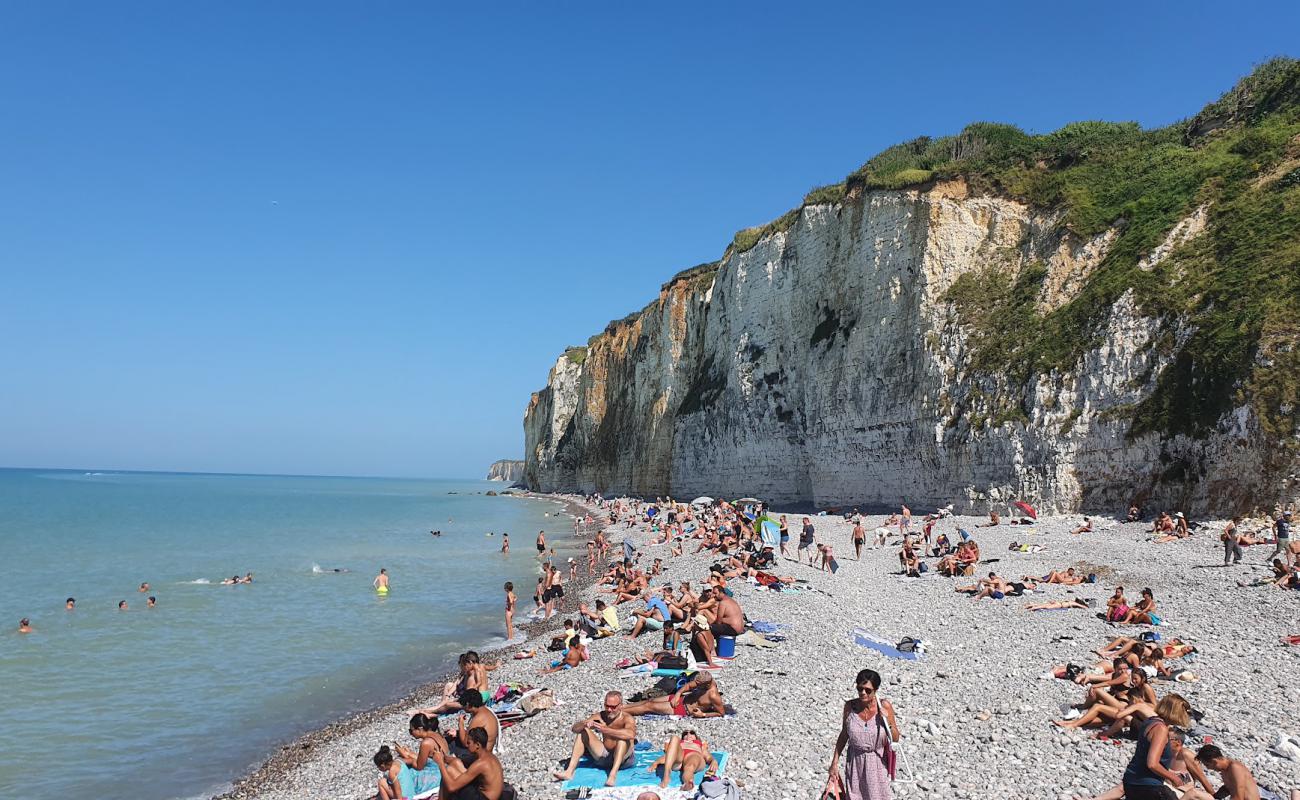 Photo of Plage de Veules-les-Roses with gray pebble surface