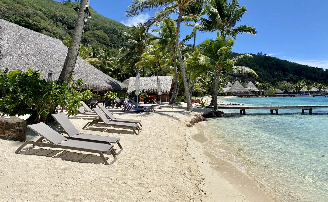 Photo of Royal Bora Bora beach with bright sand surface