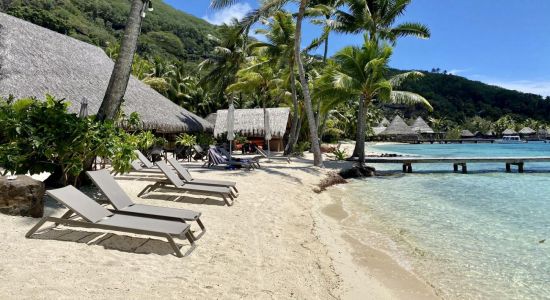 Royal Bora Bora beach