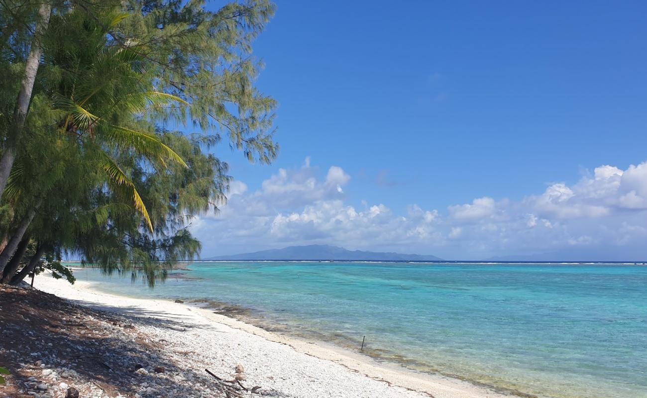 Photo of Fareone Point with bright sand surface