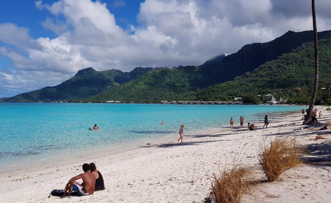 Photo of Temae Beach with white sand surface