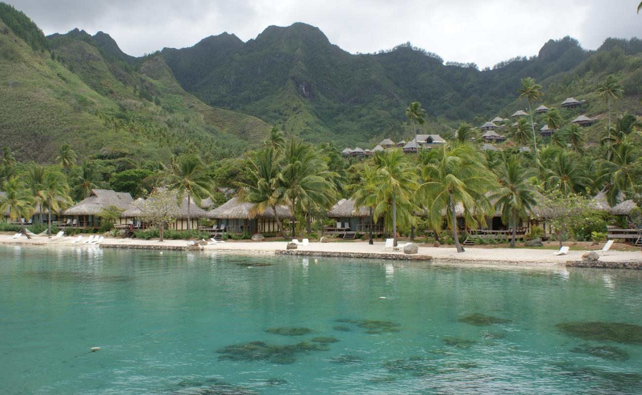 Photo of Haapiti Beach with bright sand surface