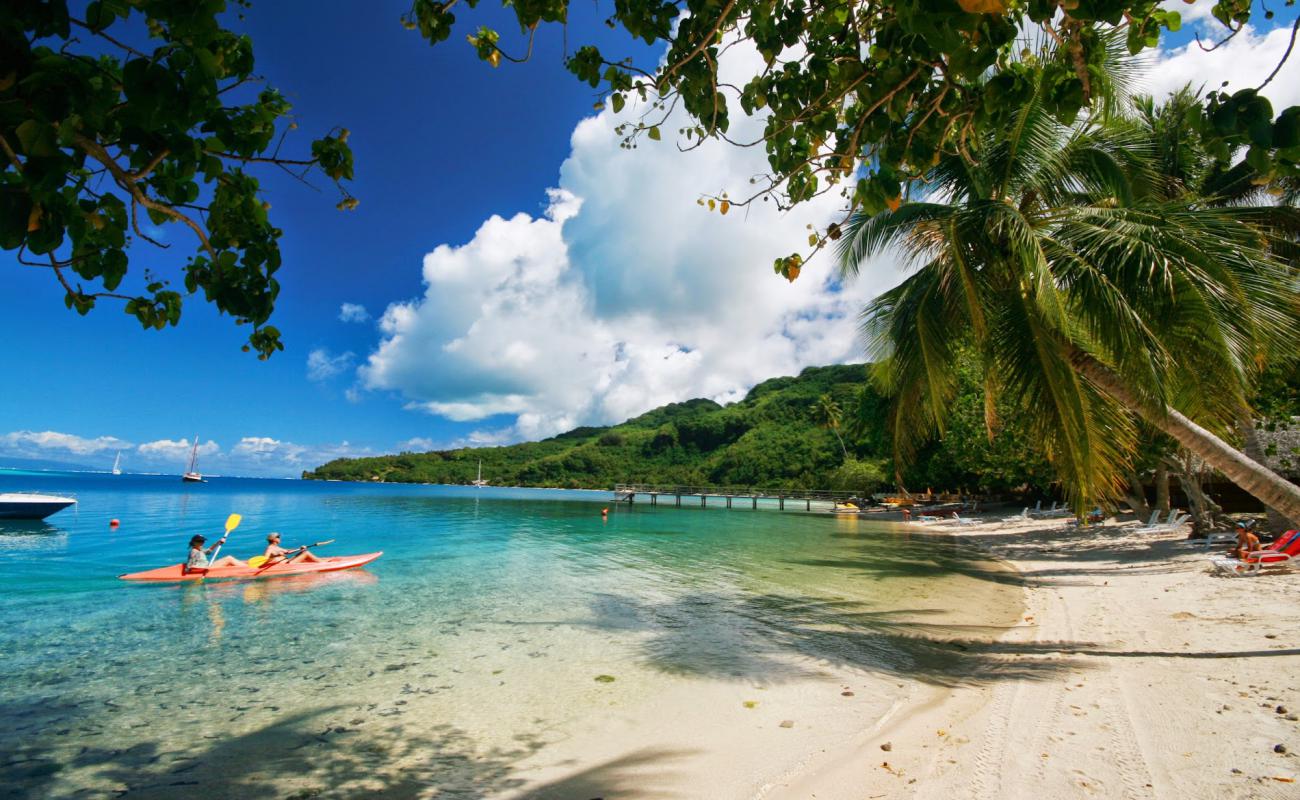 Photo of Avea Beach with white sand surface