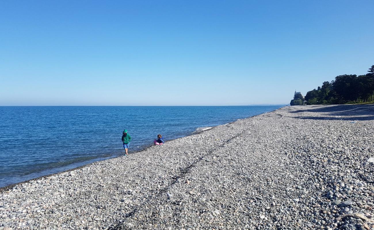 Photo of Tsikhisdziri beach with light pebble surface