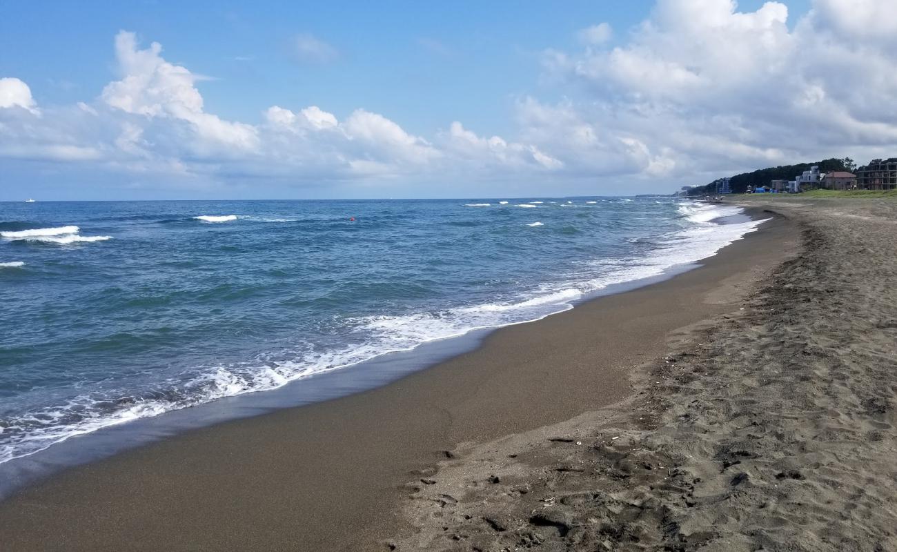 Photo of Shekvetili beach with black sand surface