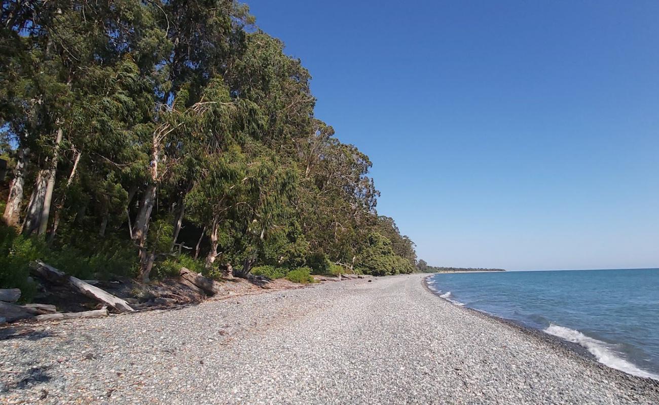 Photo of Akhali-Kindgi beach with gray pebble surface