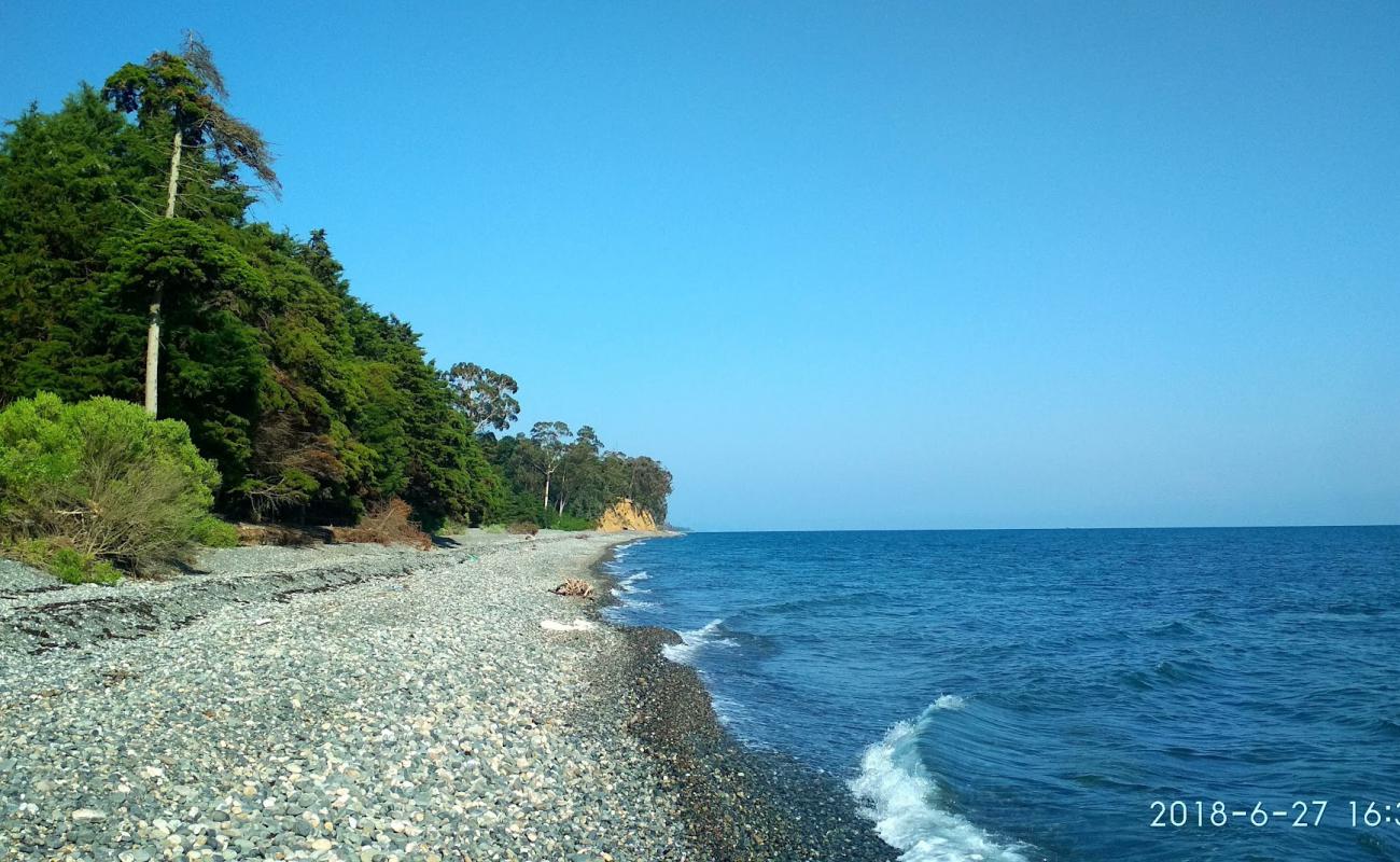 Photo of Tskurgili beach with light pebble surface