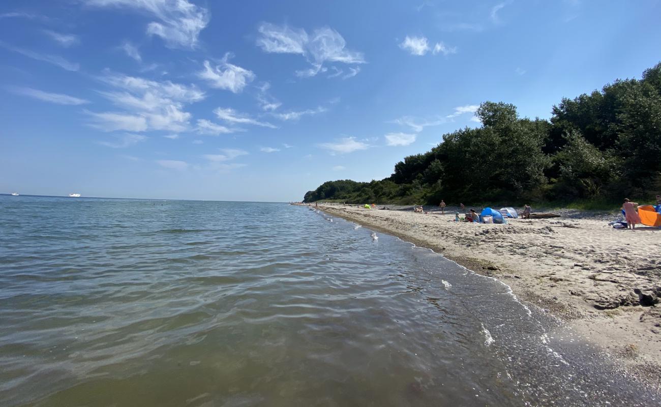 Photo of Naturstrand Gross Schwansee with bright sand surface