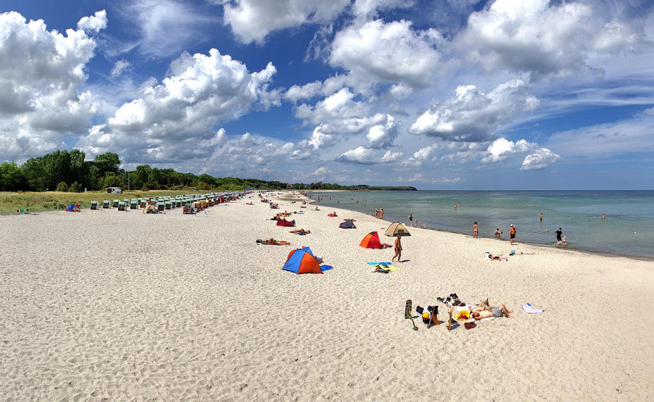 Photo of Boltenhagen Beach with bright sand surface