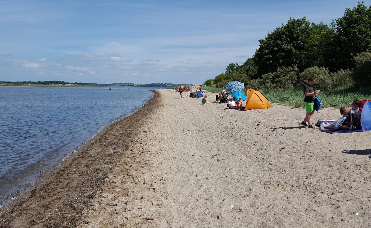 Photo of Gollwitzer Strand with bright sand surface