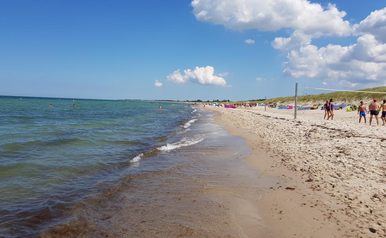 Photo of Dierhagen Strand with bright sand surface