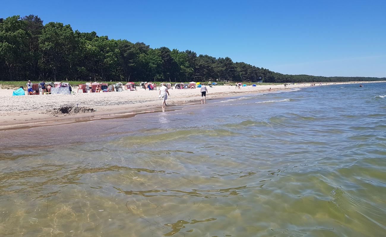 Photo of Strandkorbvermietung with bright sand surface