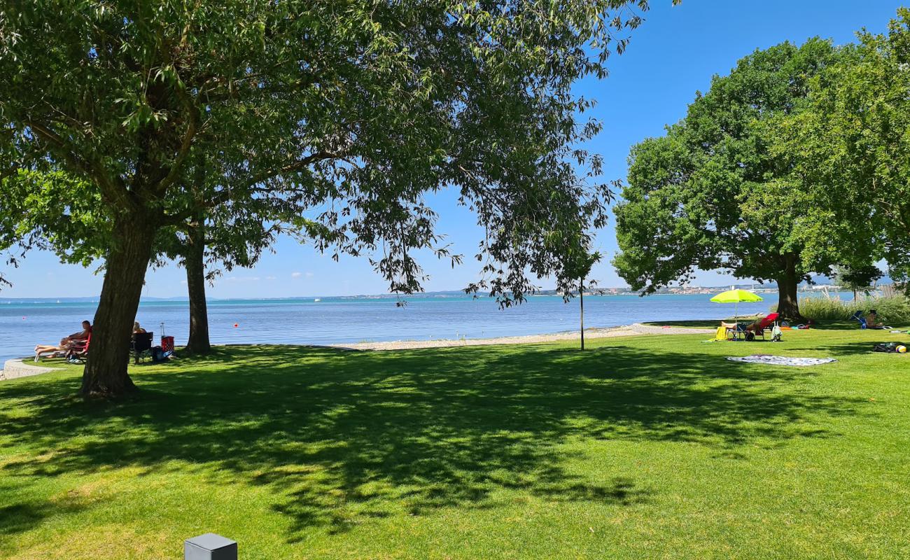 Photo of Strandbad Eriskirch with grass surface