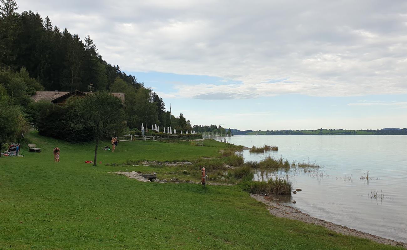 Photo of Familienbad Forggensee with grass surface