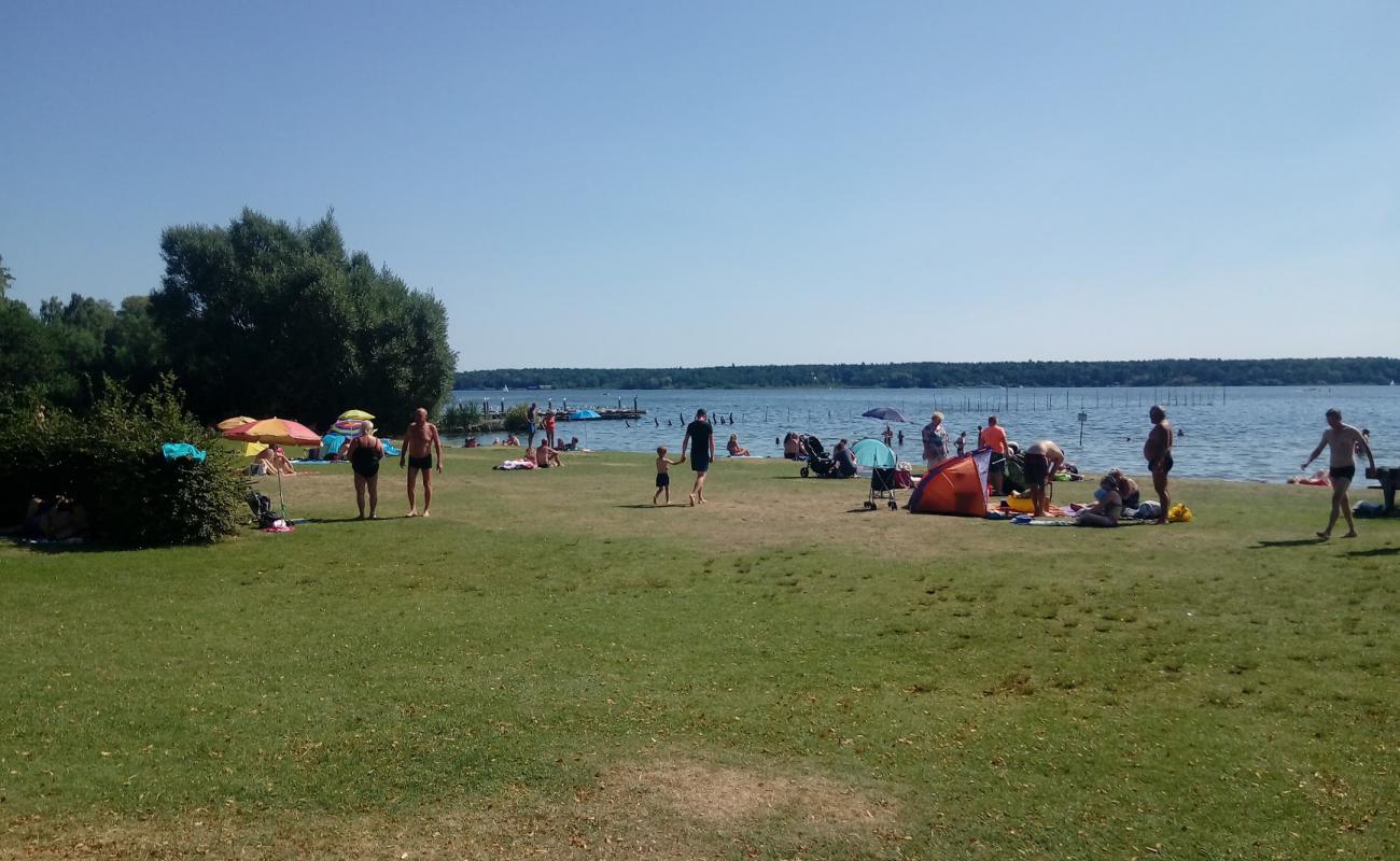 Photo of Volksbad Beach with grass surface