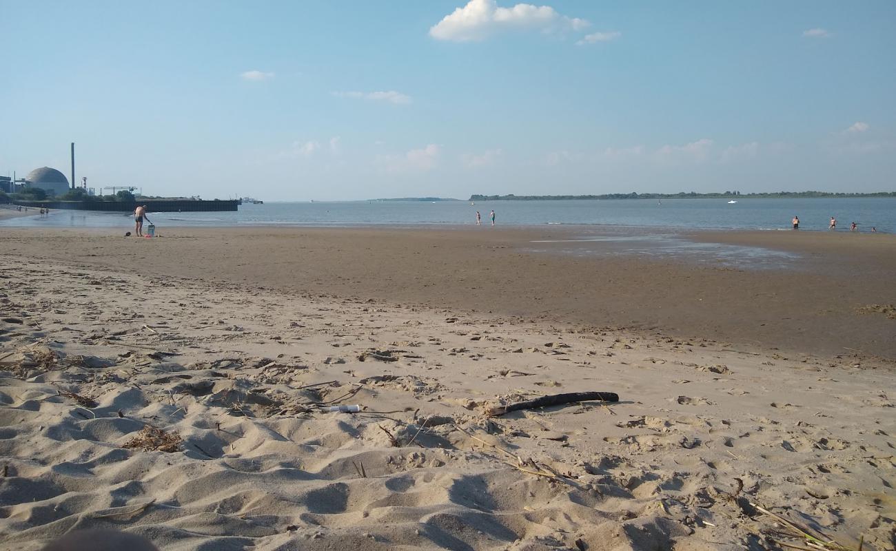 Photo of Bassenfleth Elbstrand with bright sand surface