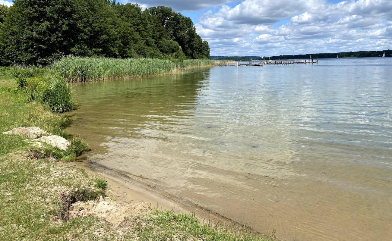 Photo of Strandbad Neptun with grass surface