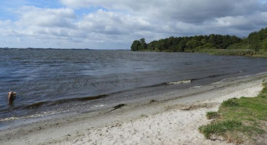 Hundestrand Klein Westerland