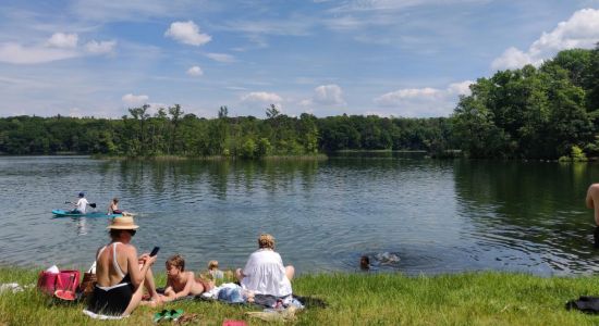 Badestrand Falkenhagen