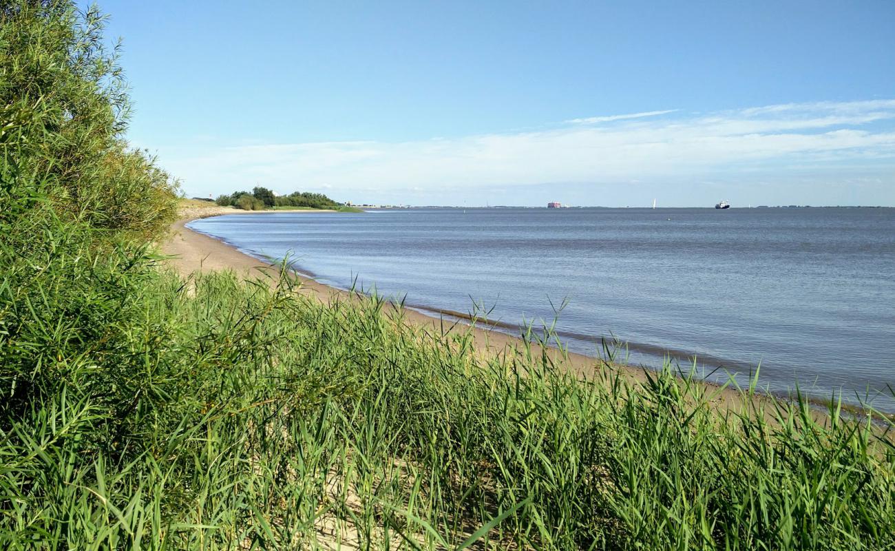 Photo of Brokdorf strand with bright sand surface