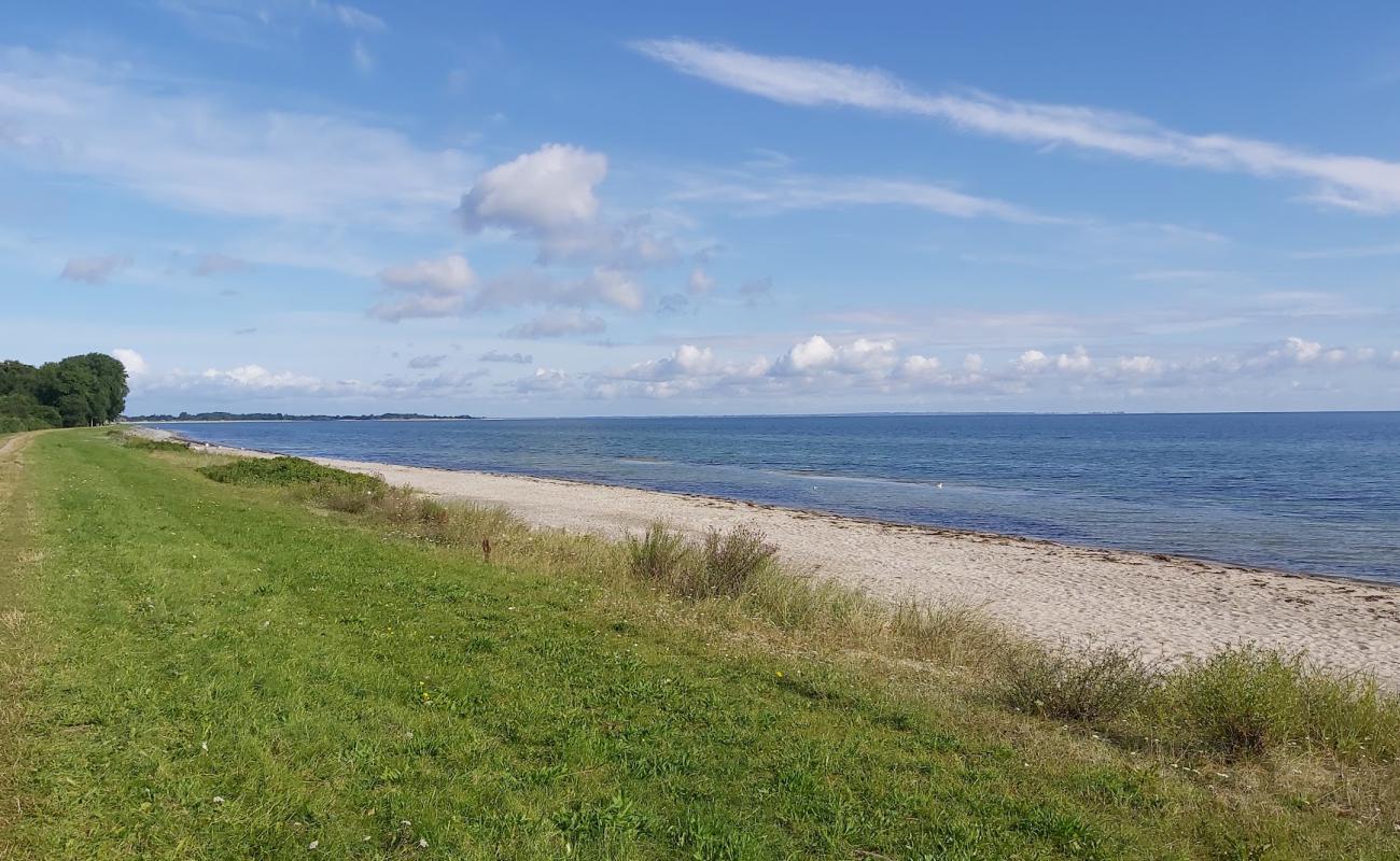 Photo of Maasholm strand with bright sand surface