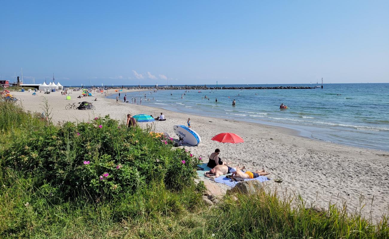 Photo of Damp strand with bright sand surface