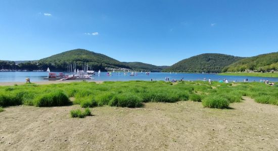 Campingplatz Rehbach Beach