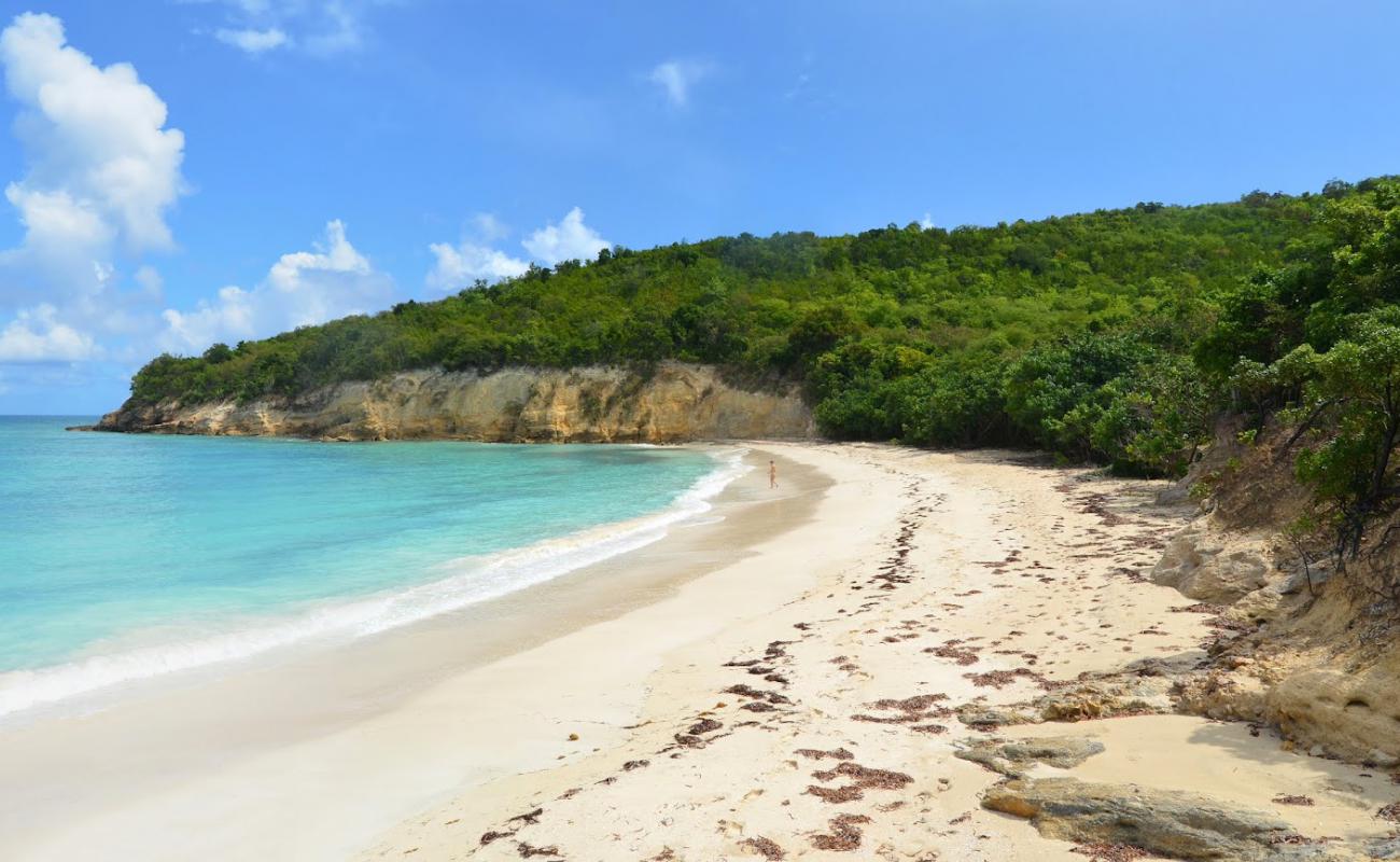 Photo of Bush Bay beach with bright fine sand surface