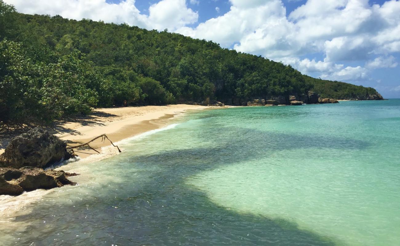 Photo of Blue Waters beach with bright fine sand surface