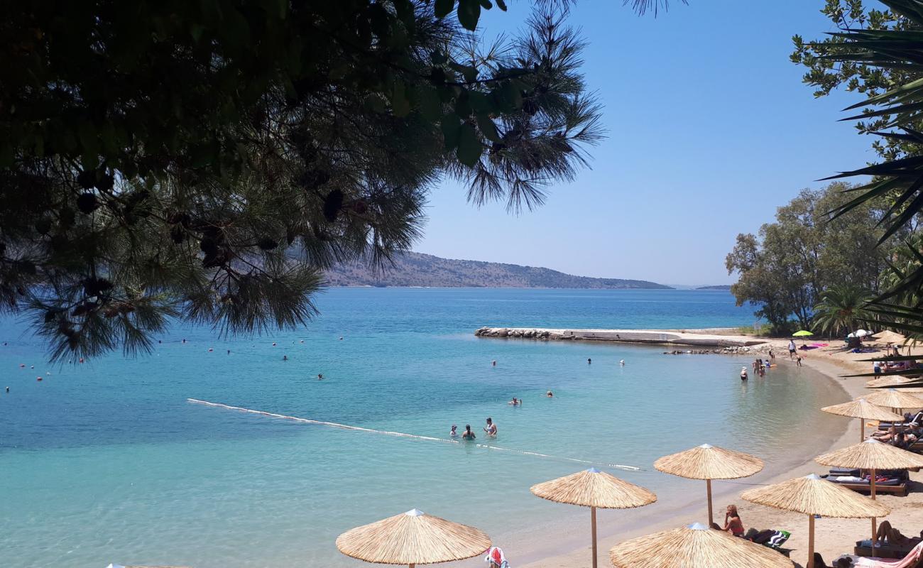 Photo of Plataria beach with light fine pebble surface