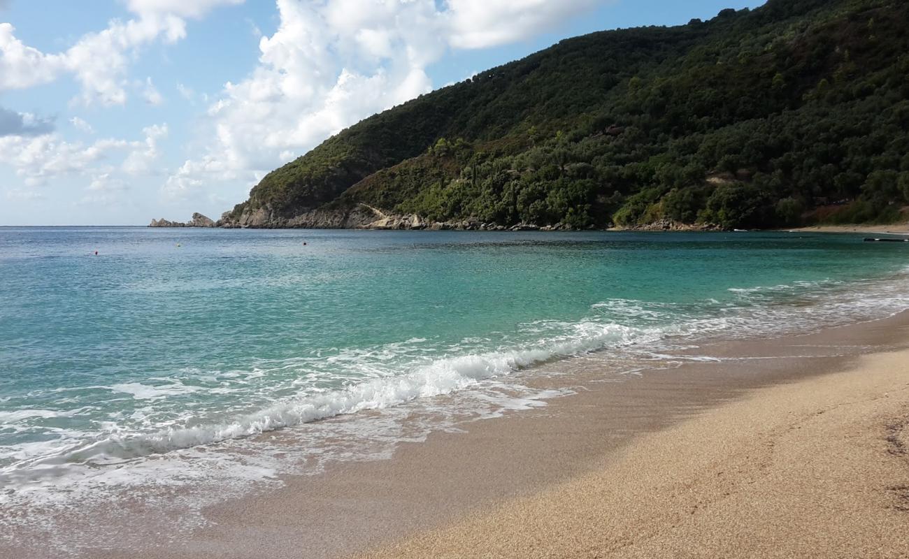 Photo of Lichnos beach with bright shell sand surface